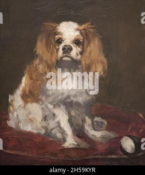 An oil painting titled A King Charles Spaniel by Edouard Manet. At the National Gallery of Art in Washington DC. Stock Photo