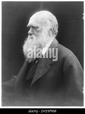 Vintage photograph circa 1880 of Charles Darwin the famous naturalist and author of On the Origin of Species and proponent of the theory of evolution. Stock Photo