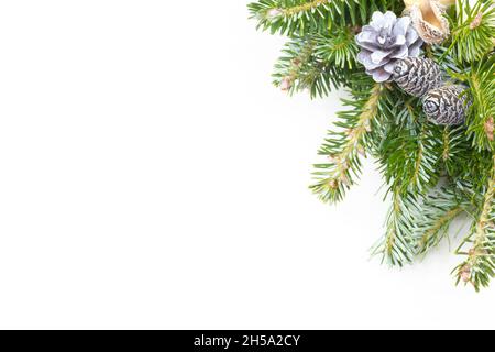 Christmas decoration with Sequoia cones on Balsam tree branches on white background with copy-space Stock Photo