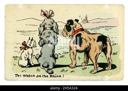 Original WW1 postcard of 3 dogs representing the allies - France Belgium, Britain. The Watch on the Rhine! was a German patriotic anthem. Card published By E.W. Savory Ltd. Bristol, U.K. circa 1914 Stock Photo