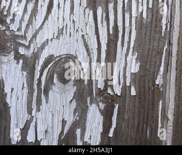 close up of peeling white paint creating patterns on the door of an old garage Stock Photo