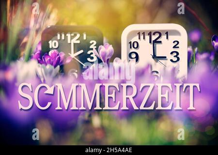 FOTOMONTAGE, Zwei Uhren umgeben von Fruehlingsblueten und der Schriftzug Sommerzeit, Uhrumstellung auf Sommerzeit Stock Photo