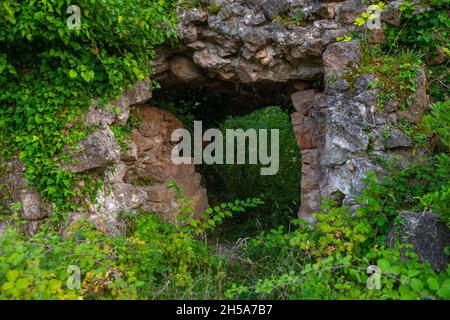 wall with a passage overgrown with various grass Stock Photo