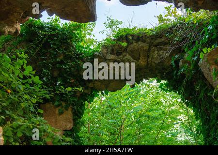 arch with a passage overgrown with various grass Stock Photo