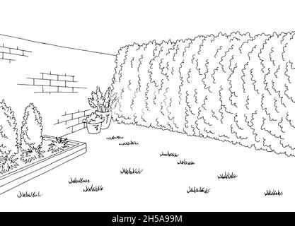 Backyard garden graphic black white sketch illustration vector Stock Vector