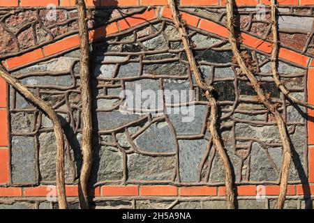 Stone wall, texture, background. Grapevine on the background of a granite fence. Decorative wall, braided by branches of grapes. Decorative building Stock Photo