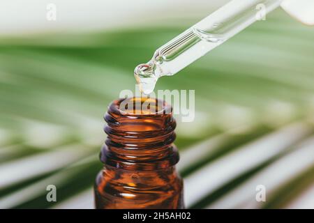Drop natural essential oil drips from pipette over dark glass bottle against background of fresh greenery, close-up Stock Photo