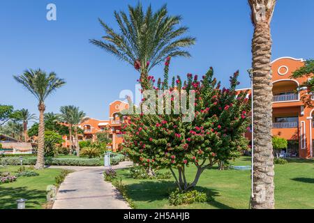 Hurghada, Egypt - September 25 2021: A stone sidewalk through a beautiful Egyptian garden in Hurghada Stock Photo