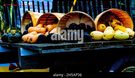 Different types of pumpkins and squashes coming out of wooden baskets on top of a farm wagon at a farmers market in City of Markham, Ontario, Canada Stock Photo