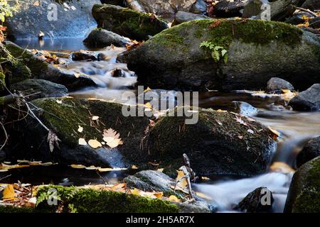 Small mountain stream flows between wet rocks in which the fallen leaves of the trees stand out. Horizontal photography. Selective focus. Stock Photo