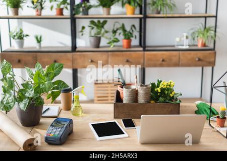 Devices, payment terminal and plants on table in flower shop Stock Photo