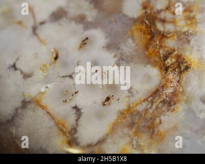 MARBLE / STONE VEINING MACRO Stock Photo