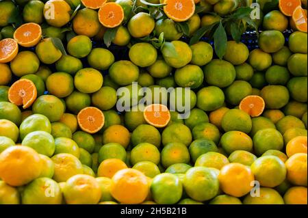 Many green tangerines on the counter in the market. Stock Photo