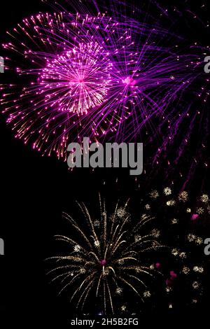 Fireworks exploding against a night sky Stock Photo