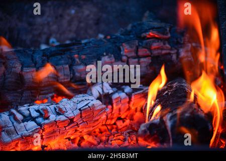 blaze of flames in burning wood log bonfire making barbecue embers Stock Photo