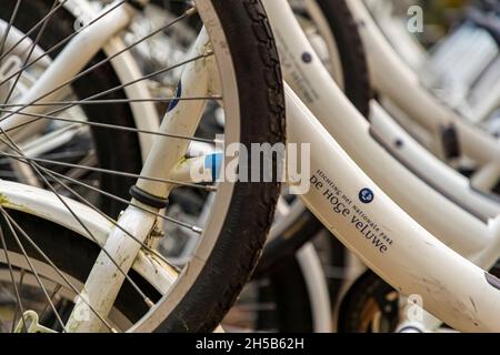 White bicycles are available free of charge in the Nationalpark De Hoge Veluwe in Otterlo, Netherlands Stock Photo