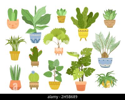 Home plant in pots. House plants, pot with green flowers. Interior houseplants, flat succulents cacti for office. Gardening exact vector set Stock Vector