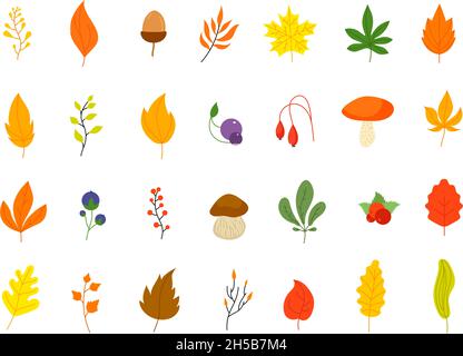 Flat autumn forest elements. Leaves berries icons, graphic leaf. Oak marple foliage. Acorn and rowan berry, thanksgiving fall utter vector set Stock Vector