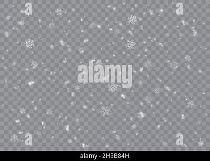 Falling. Snowflakes, snow background, snow flakes. Christmas snow for the new year.  Heavy snowfall, snowflakes in different shapes and forms. Vector Stock Vector