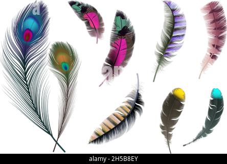 Bright feathers. Neon color decorative feather, peacock accessory. Realistic flying elements isolated vector set Stock Vector