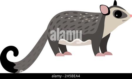 Exotic flying animal. Cartoon fluffy characters of zoo, cute beast of wildlife, vector illustration of sugar glider isolated on white background Stock Vector