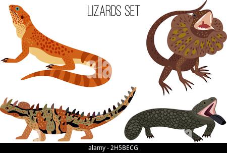 Colorful lizards. Cartoon crawling australian reptiles with tail, exotic animals of zoo, vector illustration set of ancient lizard isolated on white background Stock Vector