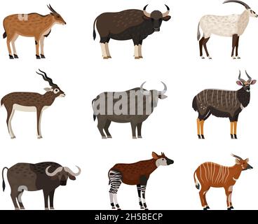 African wildlife characters set. Cartoon wild residents of zoo, image of savannah creatures, vector illustration set of animal isolated on white background Stock Vector