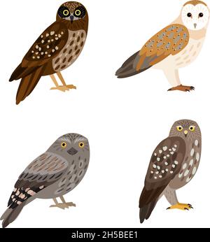 Different owl set. Cartoon beautiful forest flying character of ornithology, night birds with brown feathers, vector illustration of owles isolated on white background Stock Vector
