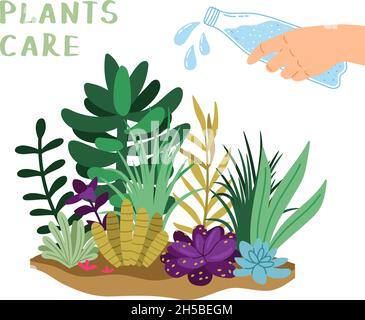 Plants care. Home garden, watering flowers. Hand hold bottle, liquid splash and greens vector illustration Stock Vector