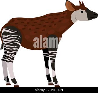 Unique tropical animal. Cartoon exotic beast of wildlife, hoofed animal with horns, vector illustration of okapi isolated on white background Stock Vector