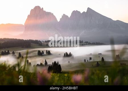 Misty landscape view in Alpe di Siusi or Seiser Alm Stock Photo