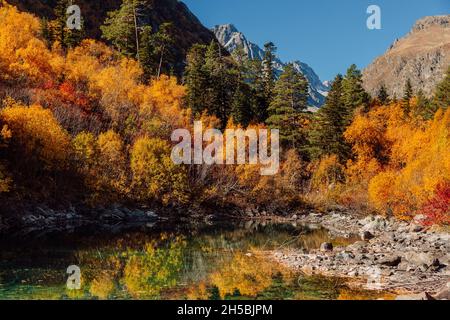 Mountains and autumnal forest in Europe. High mountain landscape with yellow trees and small lake Stock Photo