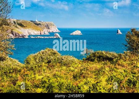 View towards St. Mary's Bay, Darl Head and Berry Head near Brixham in Devon from the South West Coast Path with the Darl Rock, Mew Stone and Cod Rock Stock Photo
