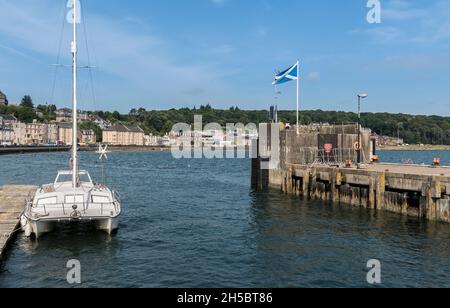 Catamaran moored at a pontoon next to Rothesay harbour quay with sea front houses and Skeoch Wood in the background under a blue sky and light clouds. Stock Photo
