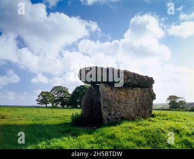 The exposed limestone slabs of St Lythans Neolithic burial chamber, Vale of Glamorgan: looking S side-on to the open chamber with a massive capstone. Stock Photo
