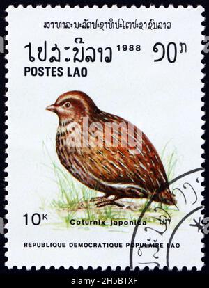 LAOS - CIRCA 1988: a stamp printed in Laos shows Japanese quail, coturnix japonica, is a species of Old World quail found in East Asia, circa 1988 Stock Photo