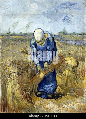 Peasant Woman Binding Sheaves (after Millet) by Vincent van Gogh (1853-1890), 1889 Stock Photo