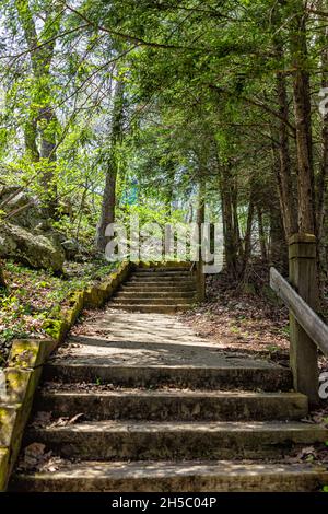 Sunny sunlight weather at Wintergreen ski resort village town with up uphill steps stairs on nature Highlands leisure hiking trail in pine fir forest Stock Photo