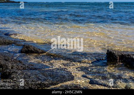 Close-up of volcanic stone beach rock with shells and barnacles on the water. High quality photo Stock Photo