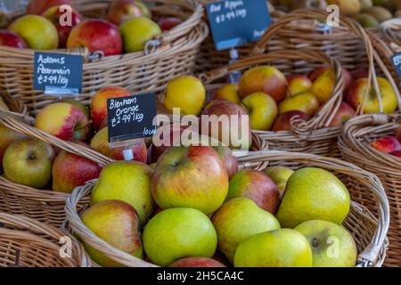 freshly picked apples in a baskey, juicy rosy red apples in baskets, organic fresh fruits in wicker baskets, fresh apples pick and on display market. Stock Photo
