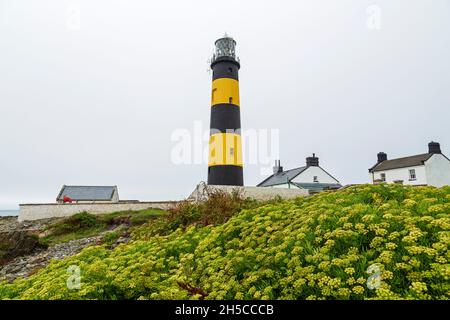 St. John's Point Lighthouse, County Down, Northern Ireland, United Kingdom Stock Photo