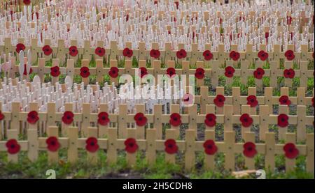 London, UK. 08th Nov, 2021. Crosses with poppies and tributes to members of the armed forces who lost their lives in service to their country are seen at the Westminster Abbey Field of Remembrance, which will officially open on Remembrance Day on November 11th. Credit: SOPA Images Limited/Alamy Live News Stock Photo