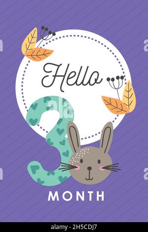 baby month cartel with items Stock Vector