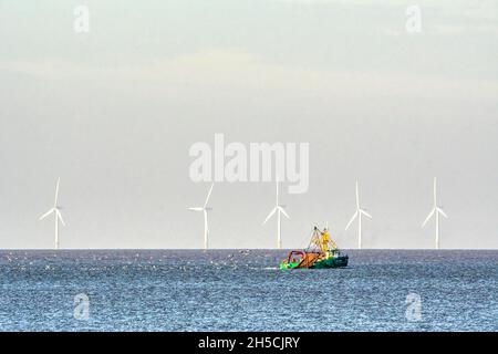 Trawler-dredger fishing boat Jolene of King's Lynn fishing in front of the Race Bank offshore wind farm.  Off the North Norfolk coast at Brancaster. Stock Photo