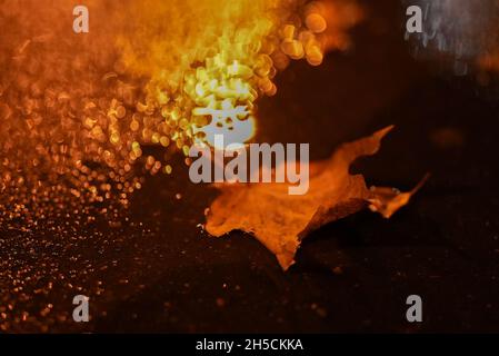 lonely fallen autumn leaf in a puddle at night, partial focus. Stock Photo