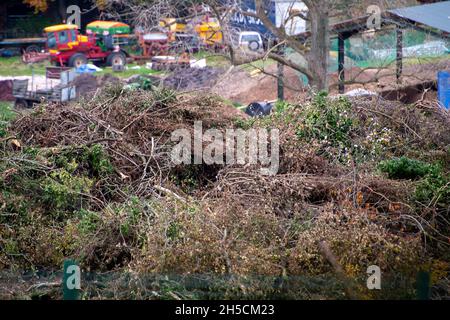 Aylesbury Vale, UK. 8th November, 2021. Hedgerows ripped out by HS2 piled up high at Durham Farm next to Jones Hill Wood. Locals are devastated at the impact that HS2 is having on the local countryside and wildlife habitats. Credit: Maureen McLean/Alamy Live News Stock Photo