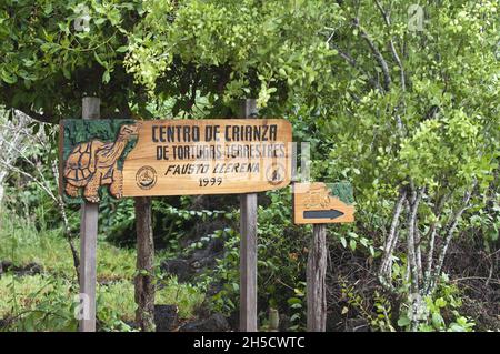 Charles Darwin Research Station, Galapagos National Park, Ecuador, Galapagos Islands, Isla Santa Cruz, Puerto Ayora Stock Photo