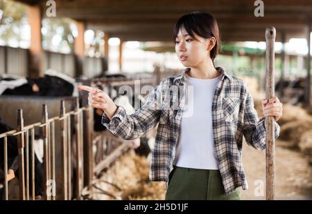 Portrait of smiling young chinese woman engaged in dairy farm Stock Photo