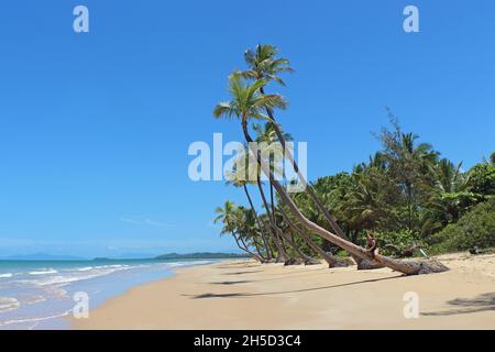 Mission Beach golden sands, blue sky, turquoise water, palm trees, clean and relaxed tropical set up Stock Photo