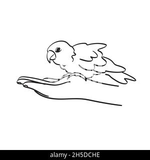 closeup hand holding parrot illustration vector isolated on white background line art. Stock Vector